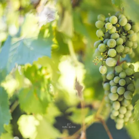 Au Bien Venu ベッド・アンド・ブレックファスト