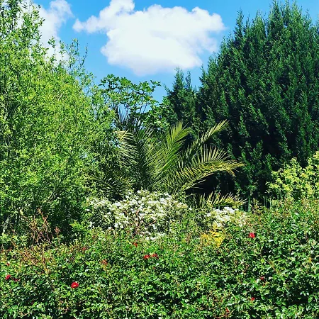 ベッド・アンド・ブレックファスト Au Bien Venu